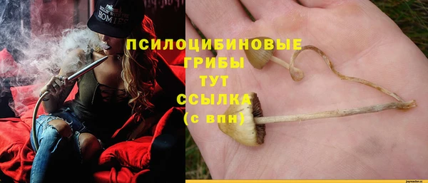 стаф Белая Калитва