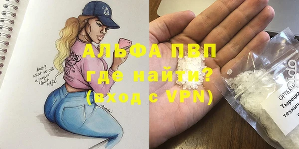 дмт Новодвинск